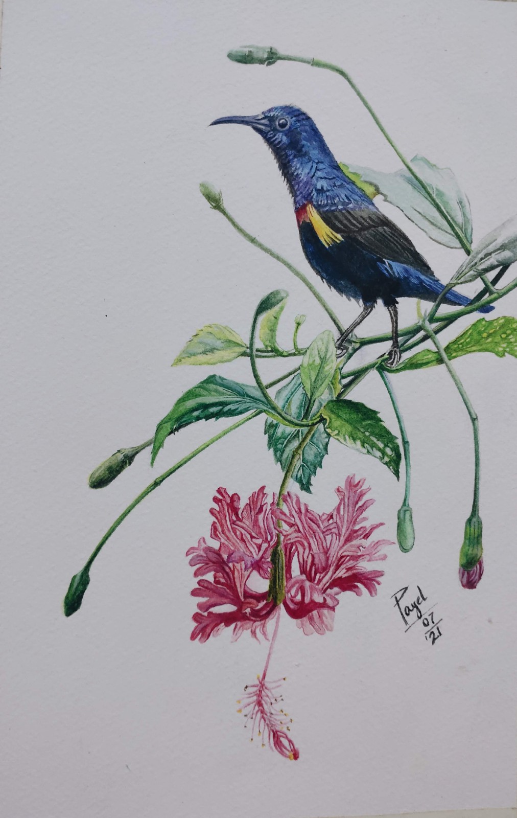 Untitled by Payel Mallik 